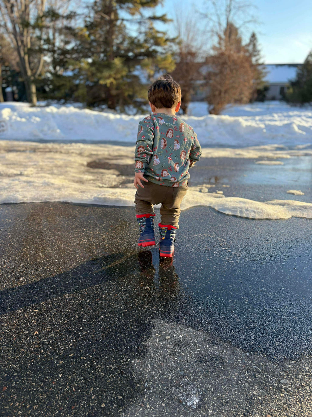 Ready to Ship Pullover - Hedgie Hollow