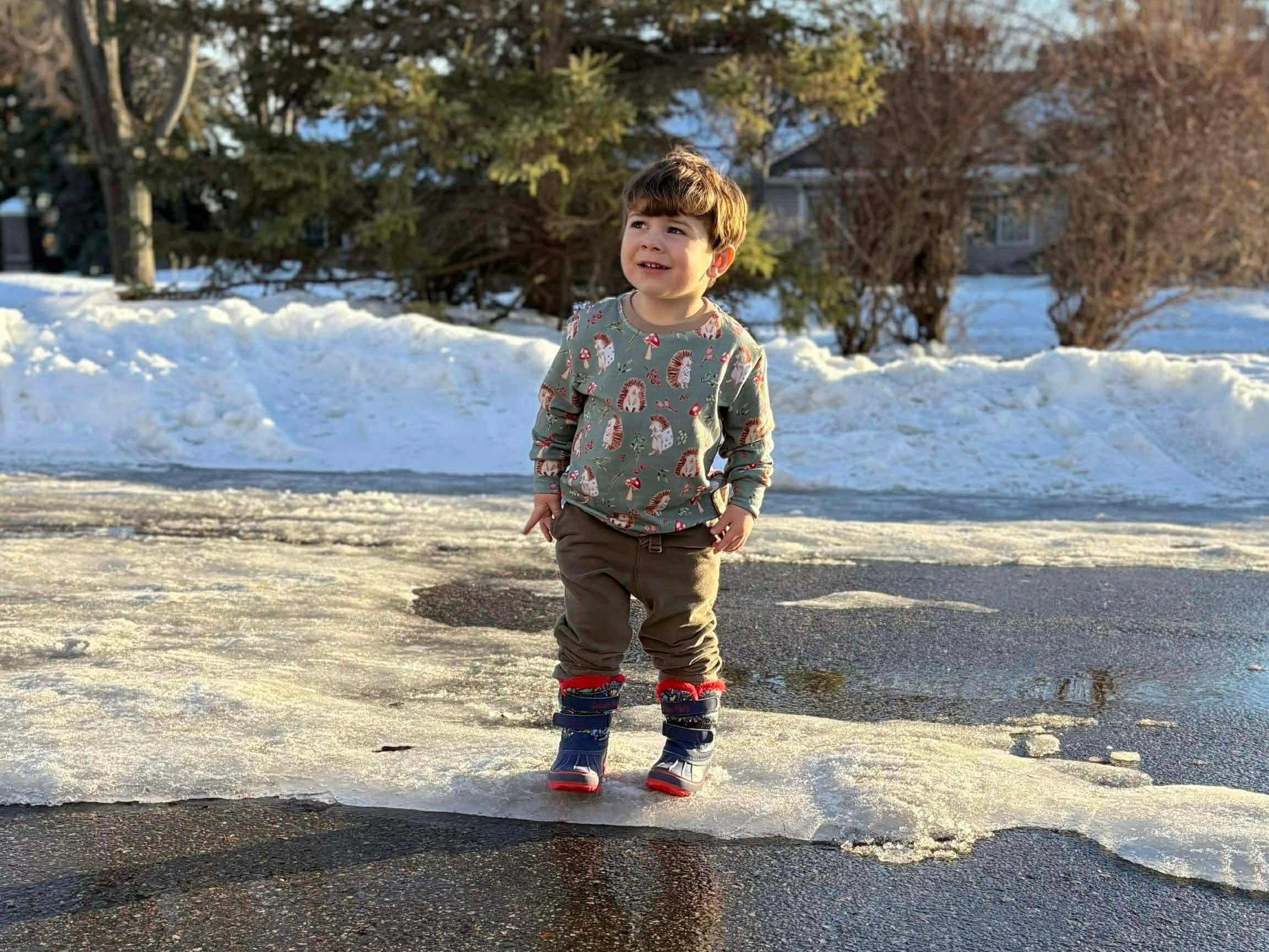 Ready to Ship Pullover - Hedgie Hollow