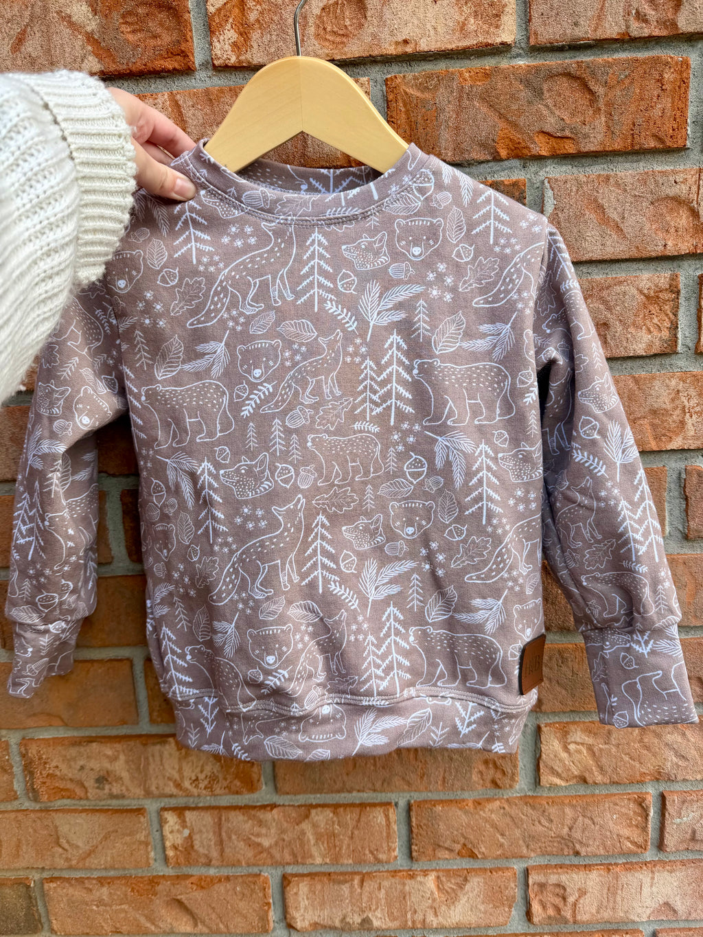 CLEARANCE Pullover - Forest Friends
