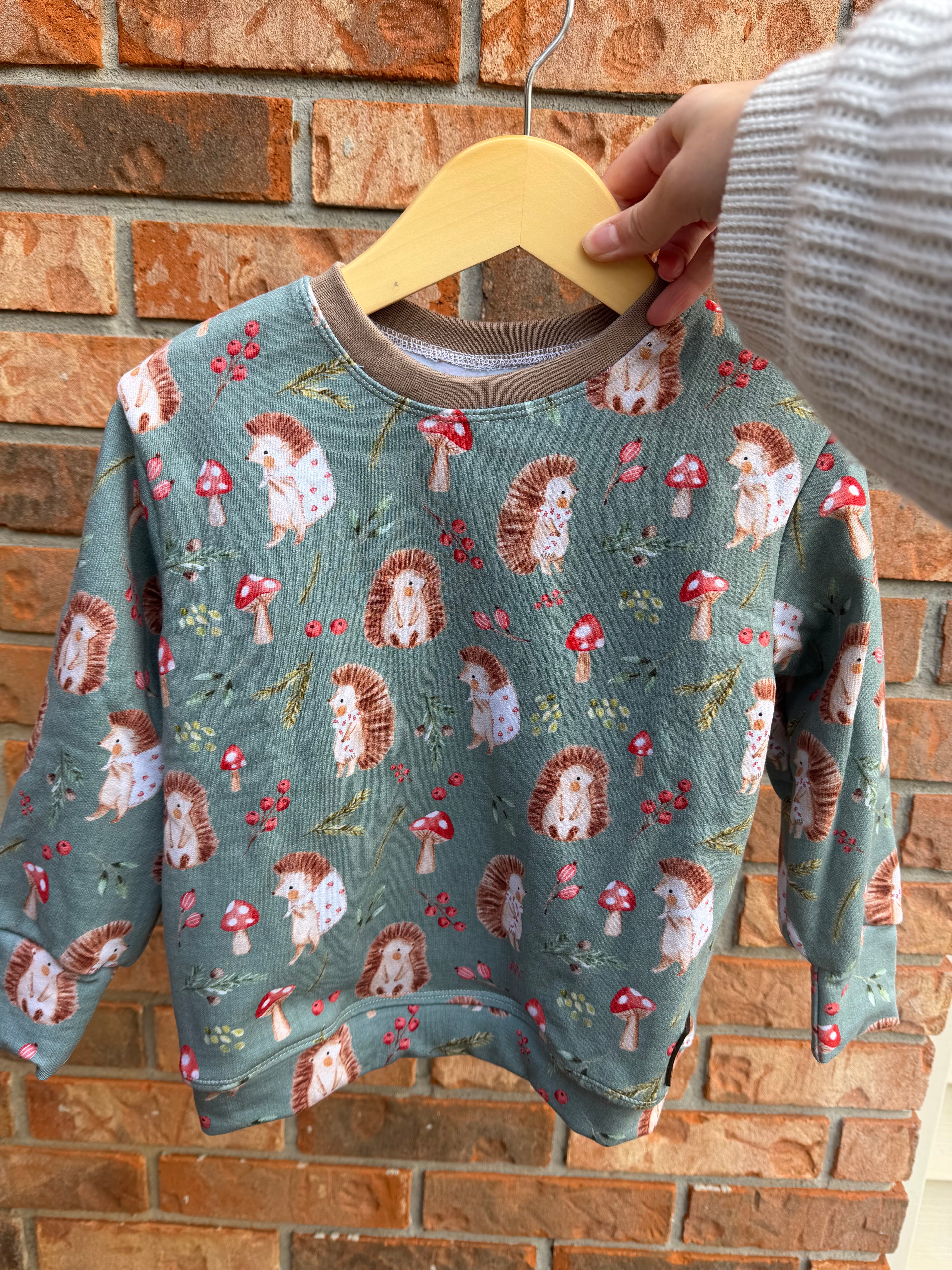 Ready to Ship Pullover - Hedgie Hollow