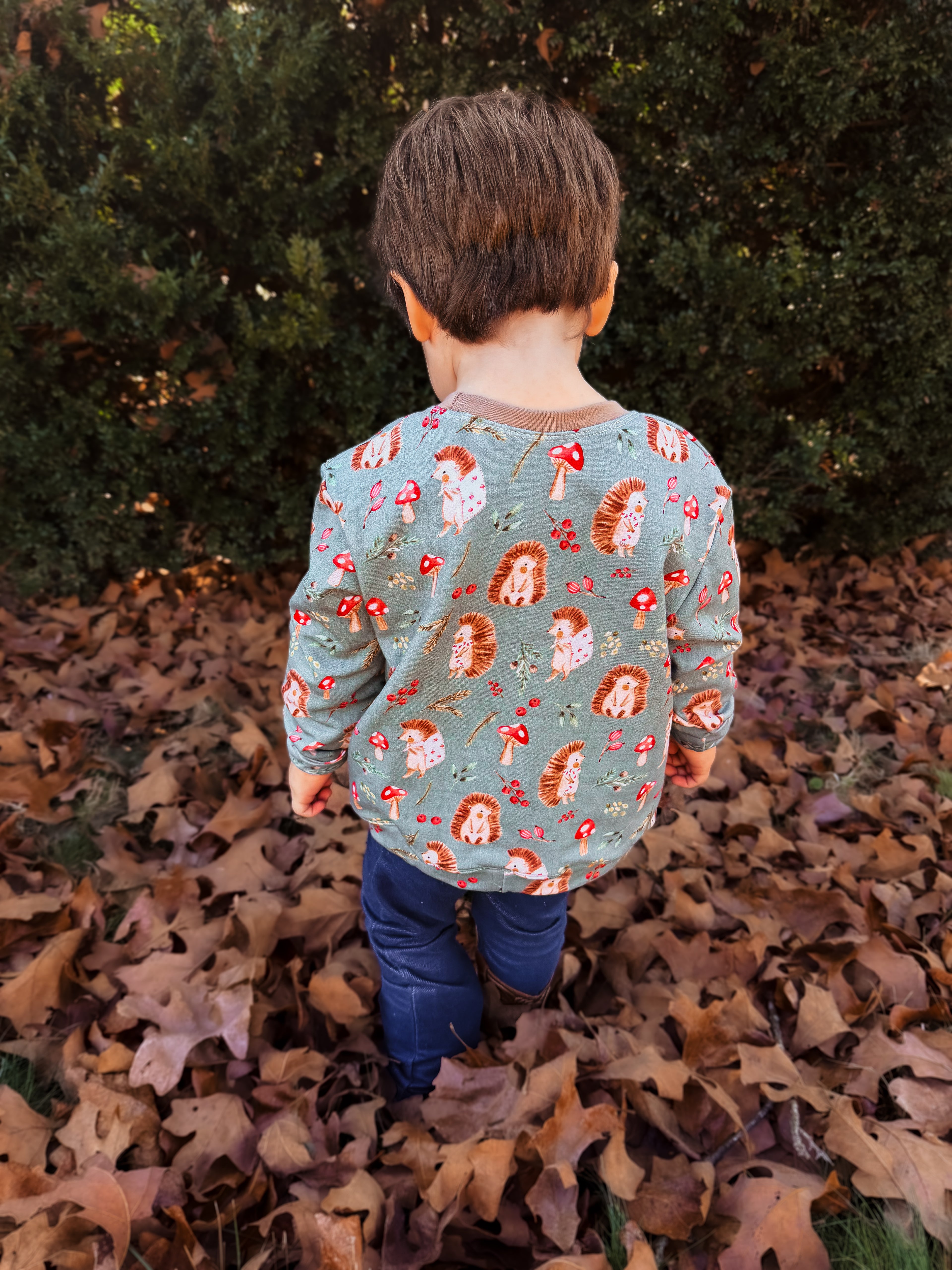 Ready to Ship Pullover - Hedgie Hollow