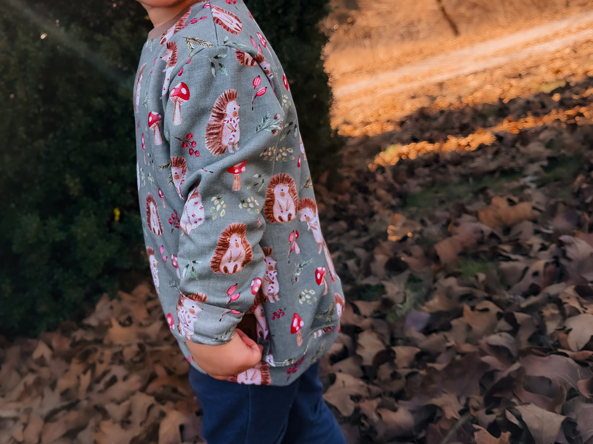 CLEARANCE Pullover - Hedgie Hollow