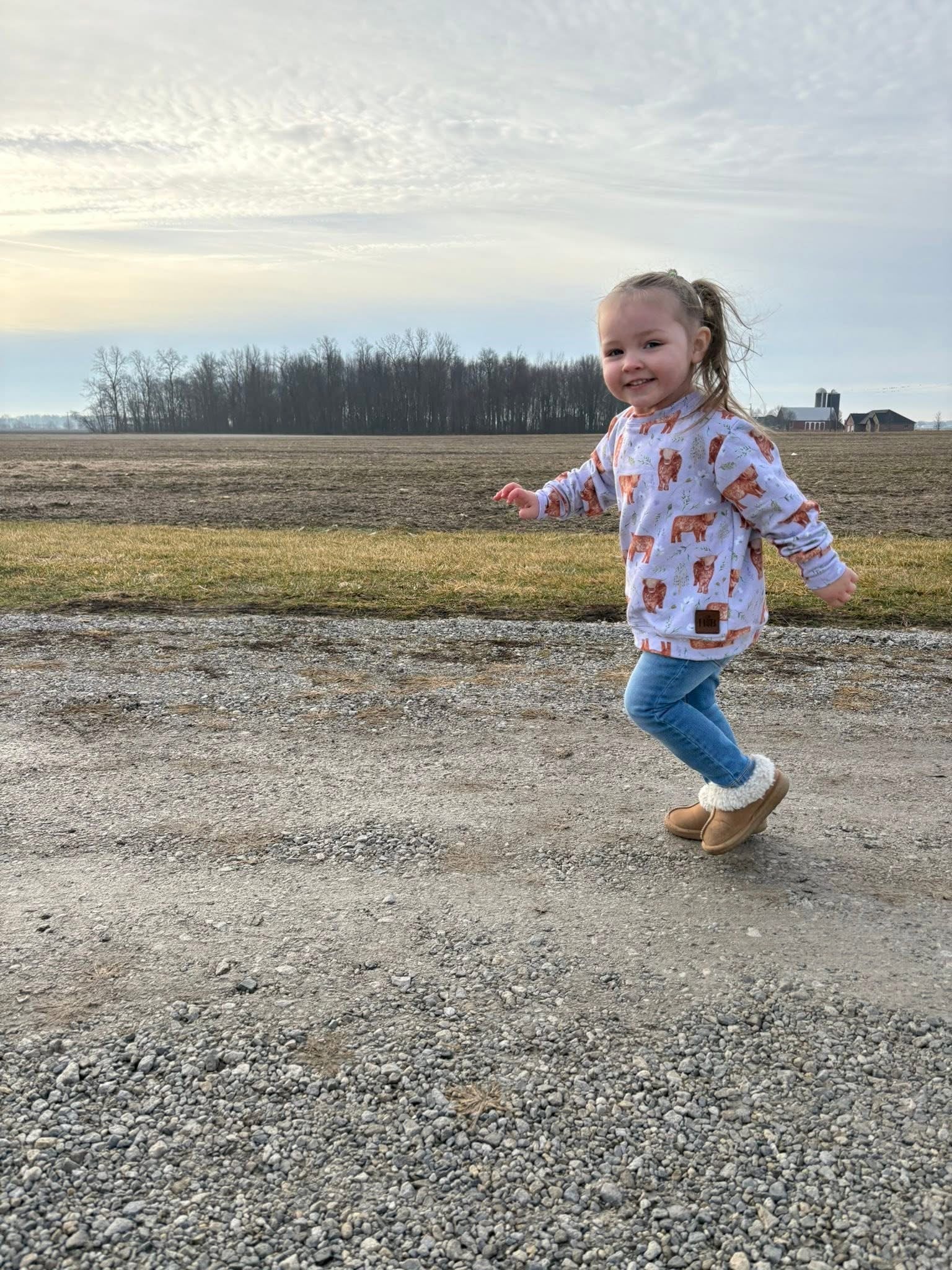 Ready to Ship Pullover - Moo in Bloom