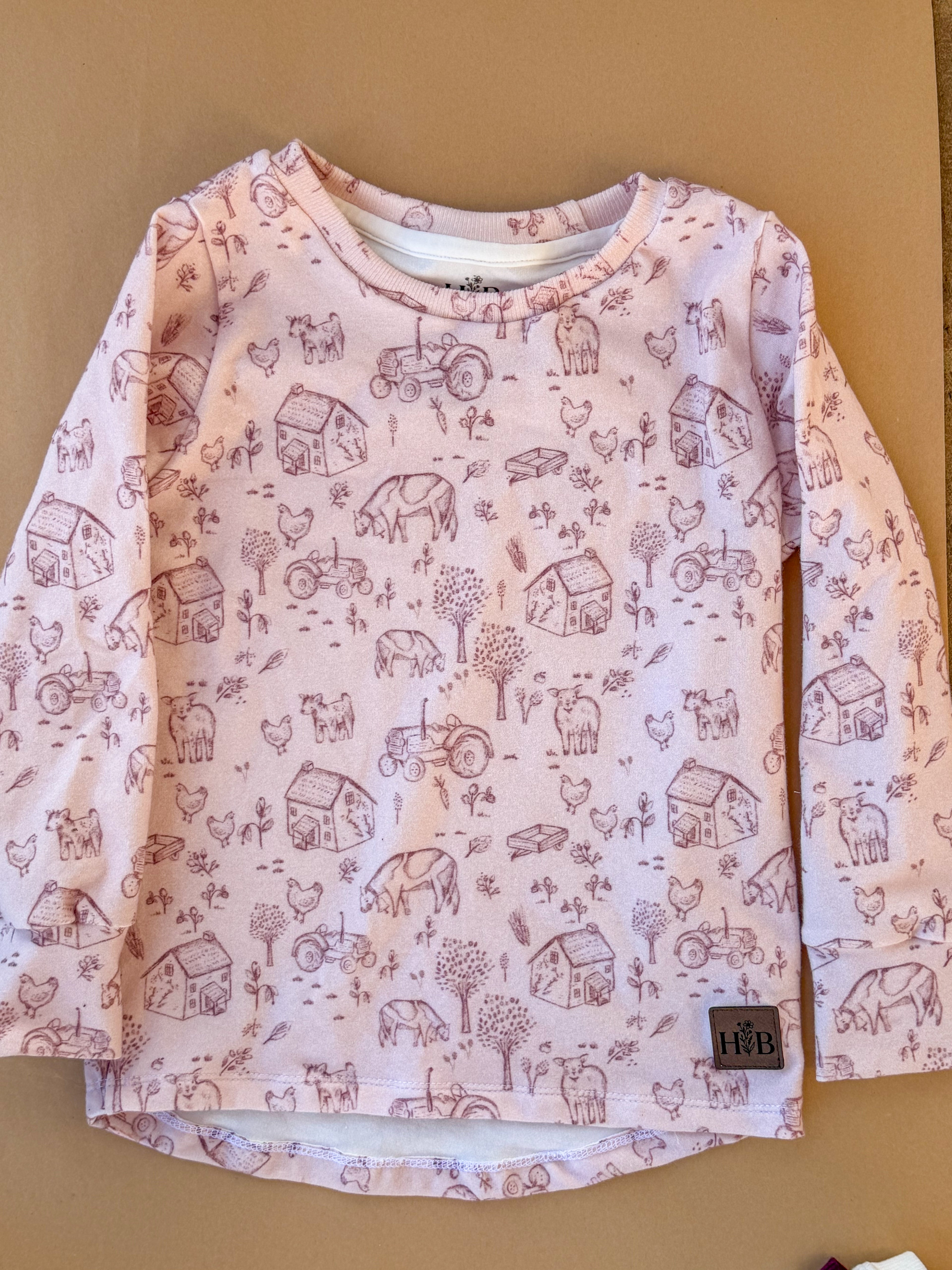 Tee Shirt (Long Sleeve)